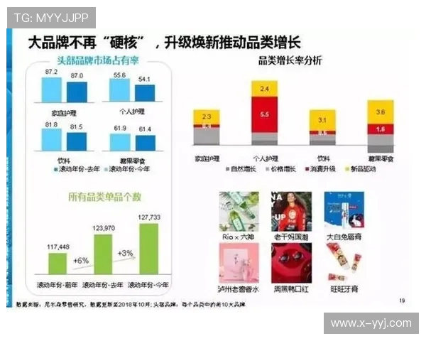 探讨现代篮球战术演变与球星影响力的深度分析全景视角解读趋势论