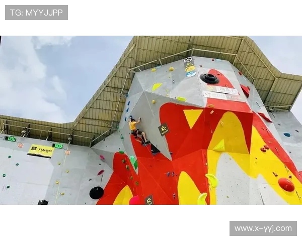 武汉攀岩队的个人能力揭秘与训练技巧分享之旅